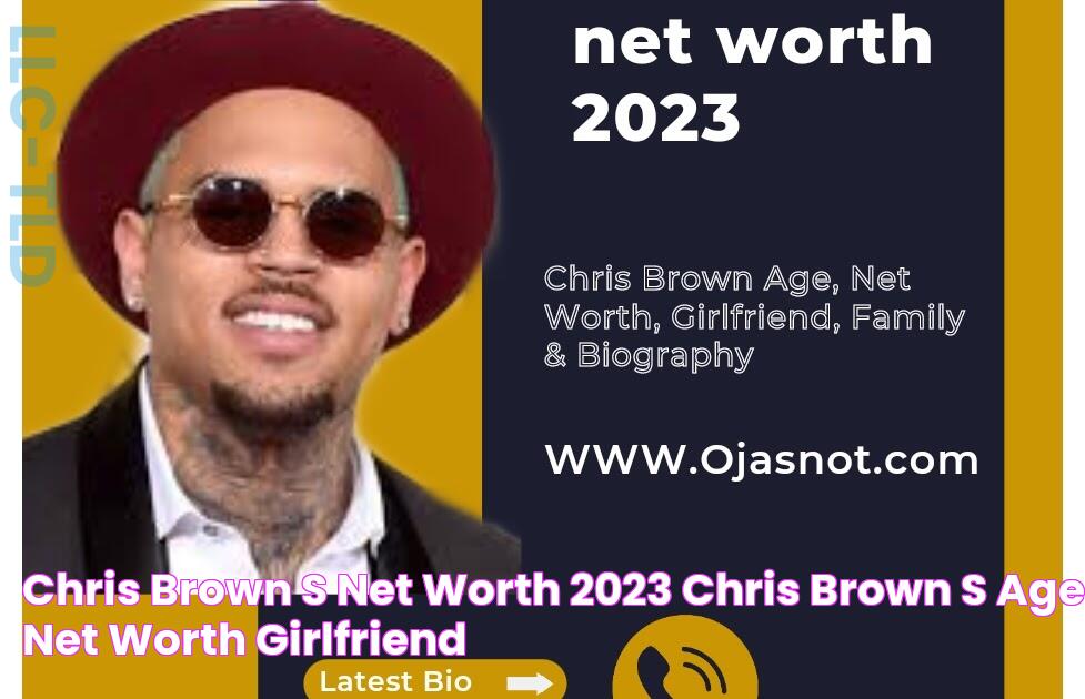 Chris Brown's Net Worth 2023/Chris Brown's Age, Net Worth, Girlfriend