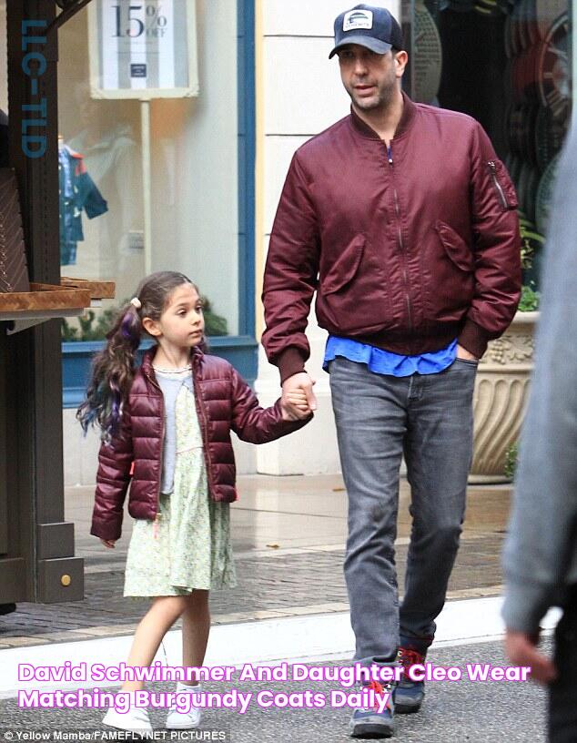 David Schwimmer and daughter Cleo wear matching burgundy coats Daily