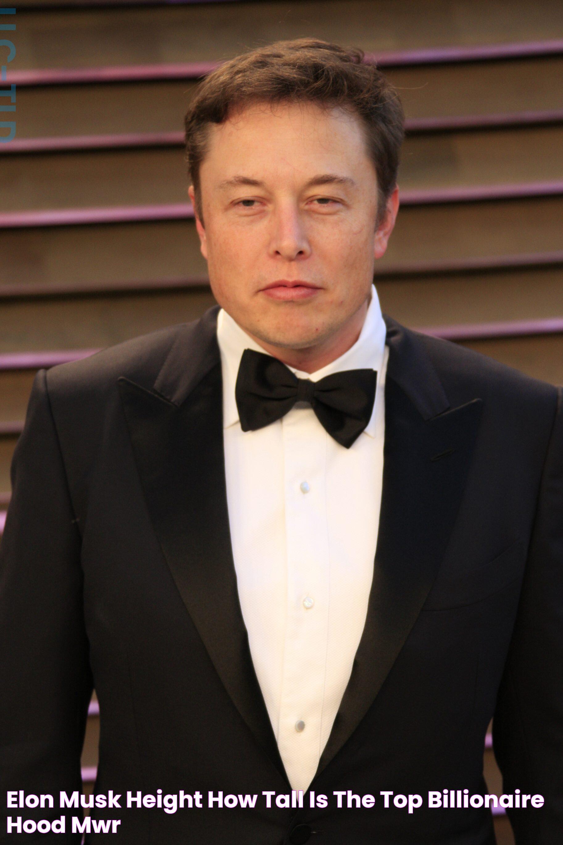 Elon Musk Height How Tall Is The Top Billionaire? Hood MWR