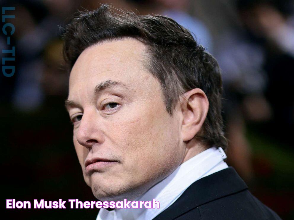 Elon Musk TheressaKarah