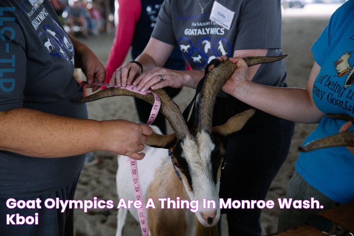 Goat Olympics are a thing in Monroe, Wash. KBOI