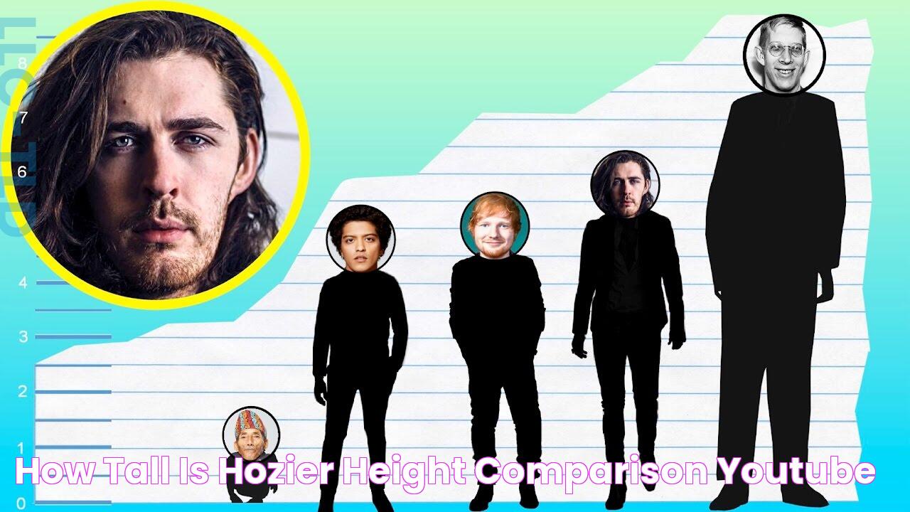 How Tall Is Hozier? Height Comparison! YouTube