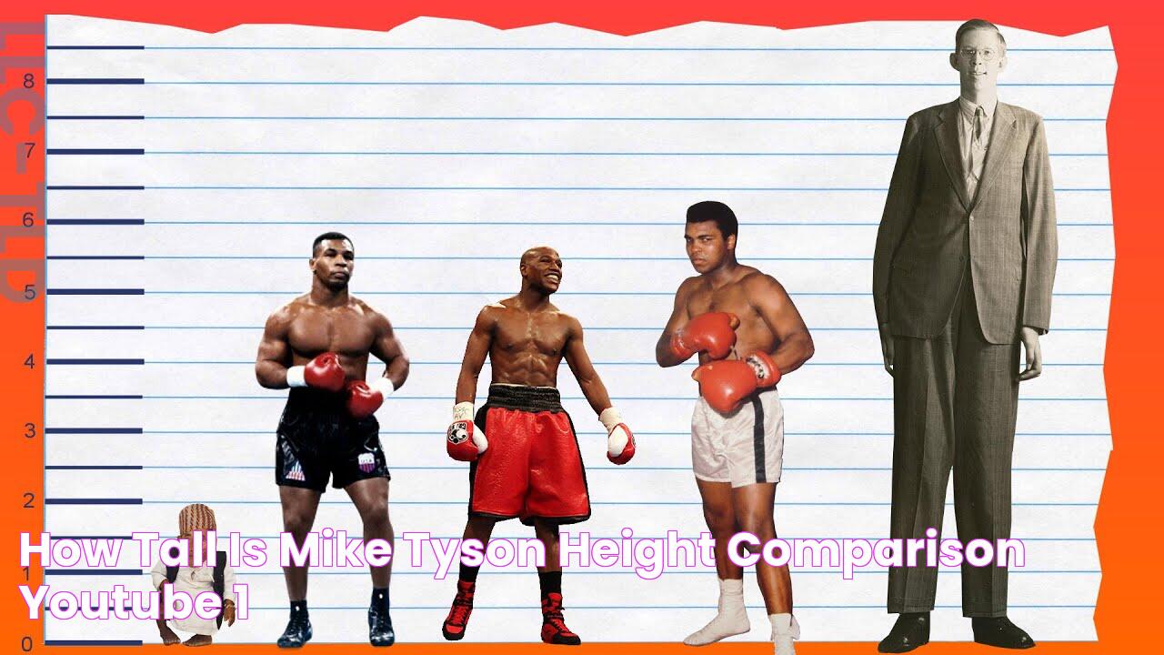 How Tall Is Mike Tyson? Height Comparison! YouTube