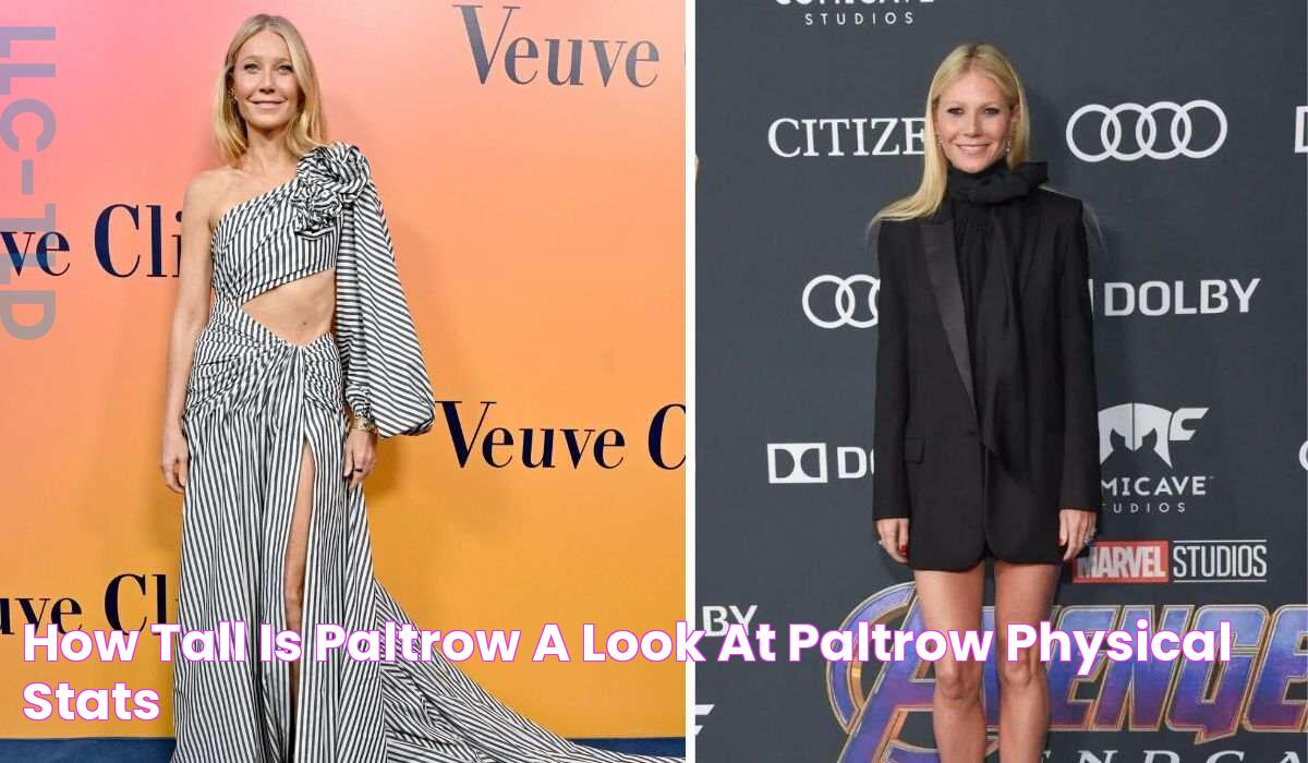 How Tall Is Paltrow A Look At Paltrow Physical Stats