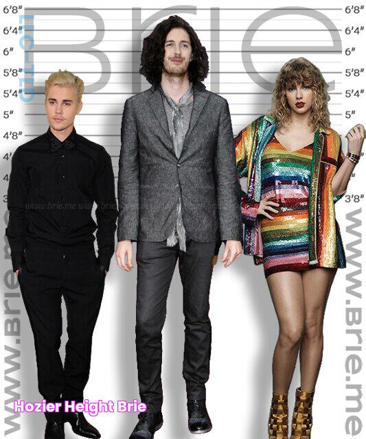 Hozier Height Brie