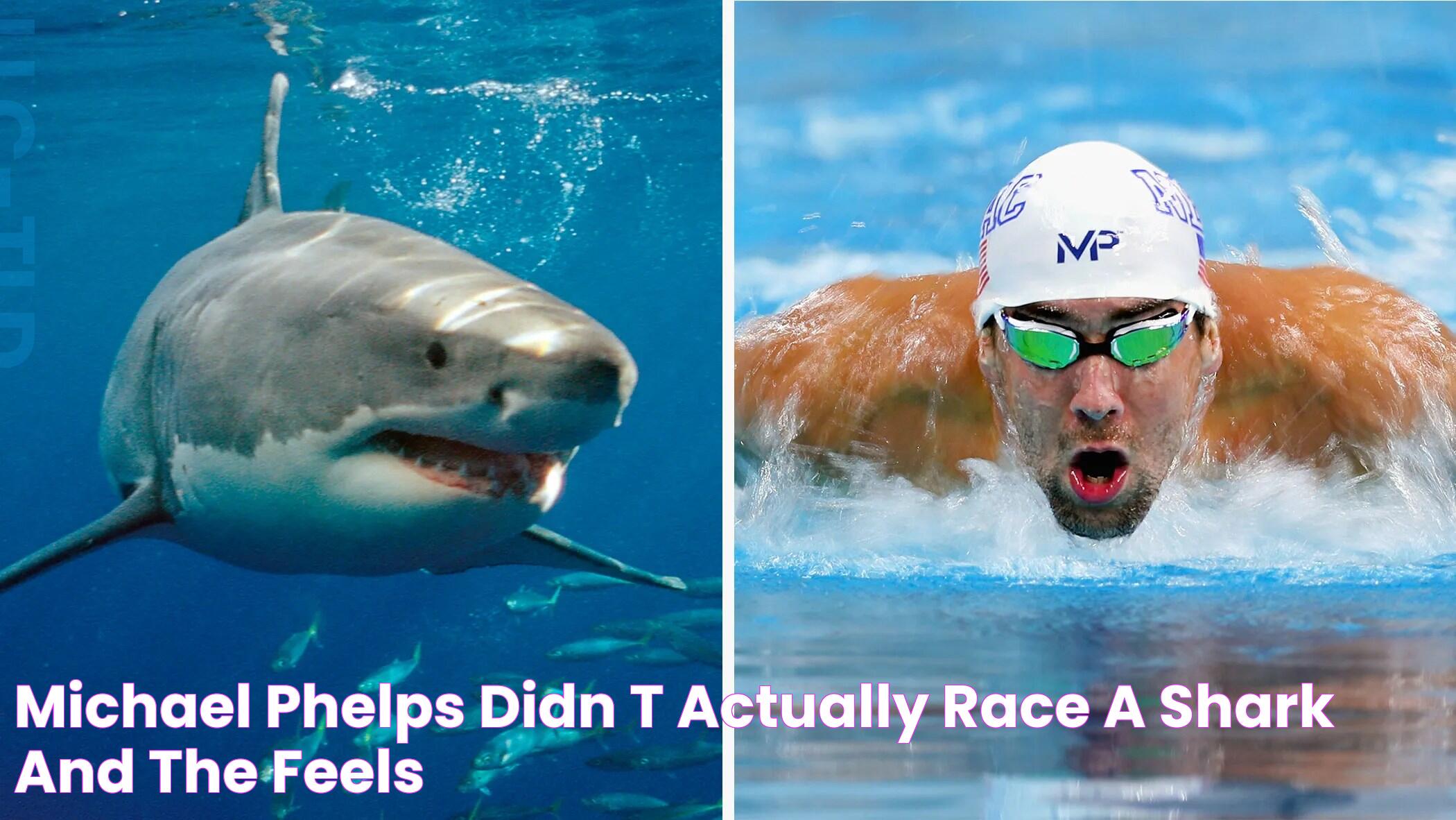 Michael Phelps Didn't Actually Race a Shark, and the Feels