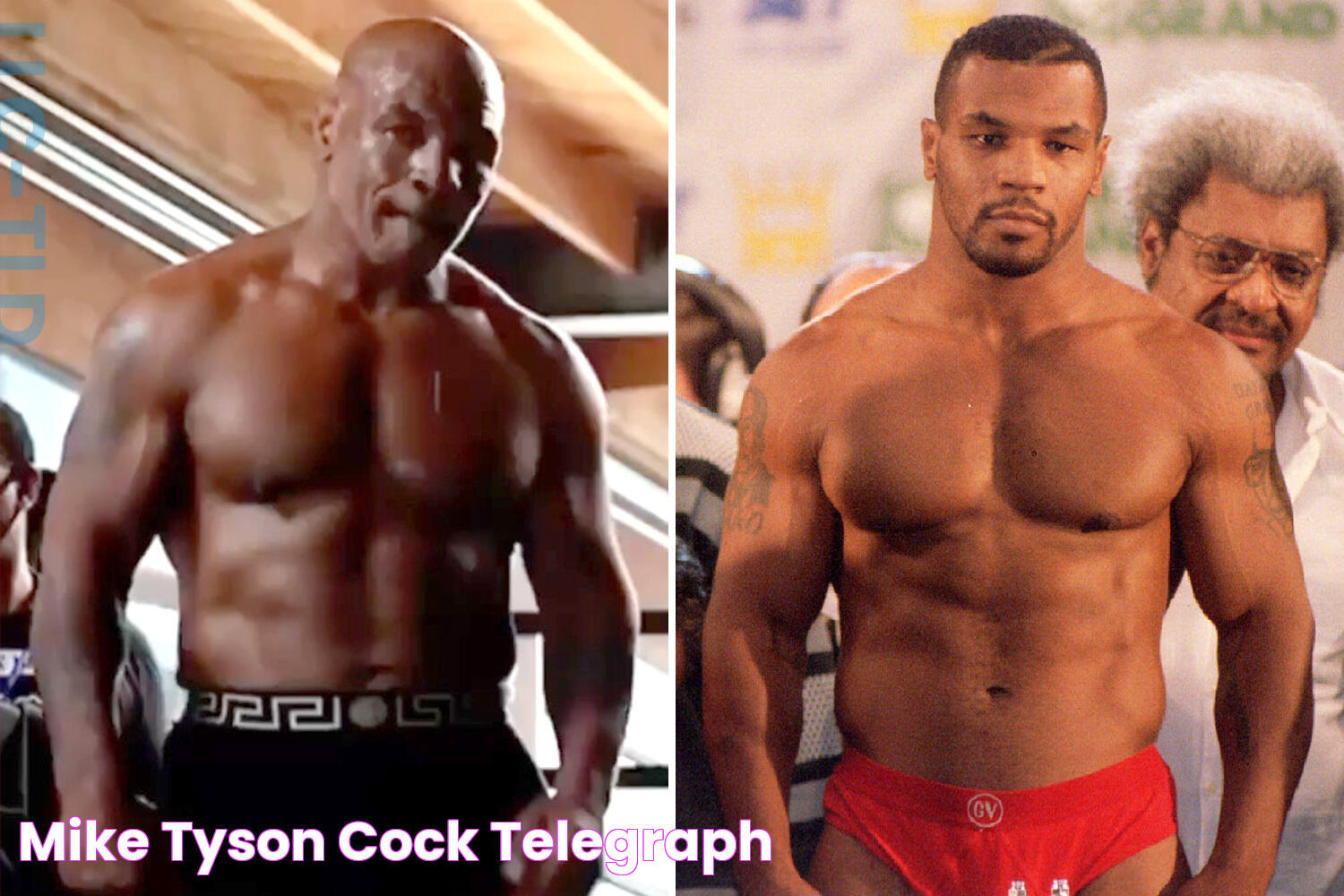 Mike Tyson Cock Telegraph