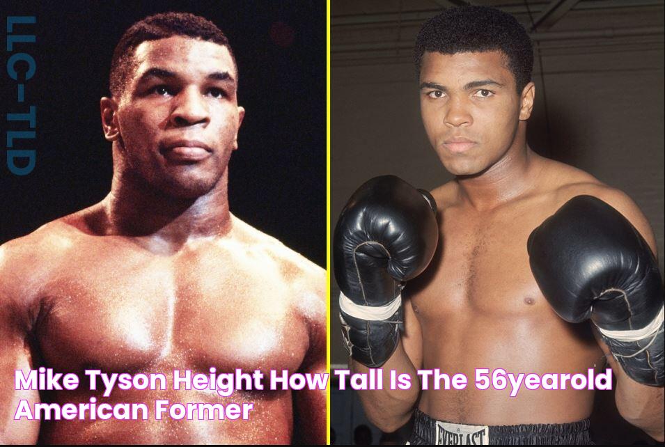 Mike Tyson Height How Tall is The 56YearOld American Former