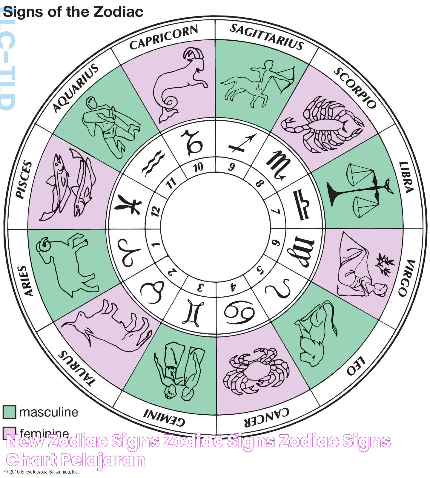 New Zodiac Signs Zodiac Signs Zodiac Signs Chart PELAJARAN