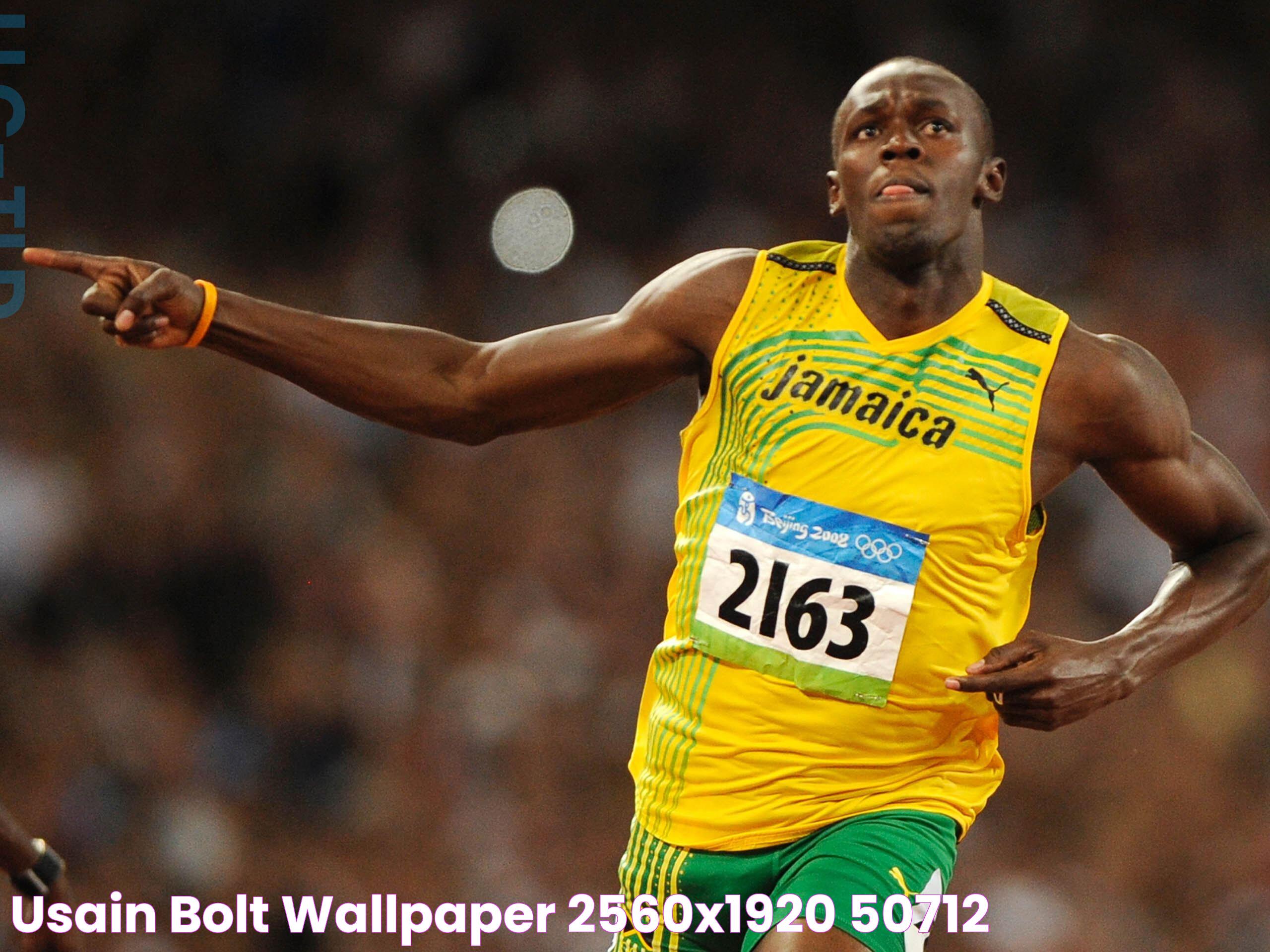 Usain Bolt wallpaper 2560x1920 50712