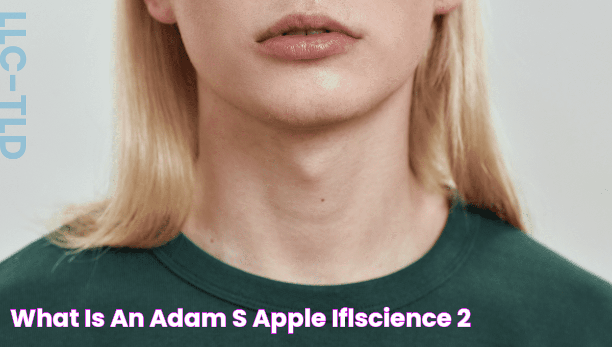 What Is An Adam's Apple? IFLScience