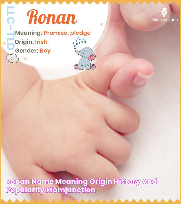 ronan Name Meaning, Origin, History, And Popularity MomJunction