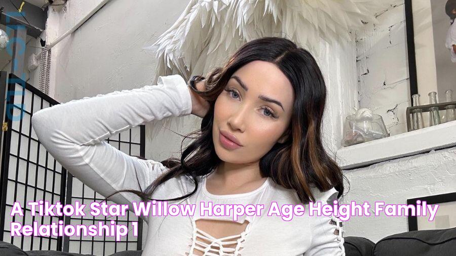 A TikTok Star Willow Harper Age, Height, Family, Relationship