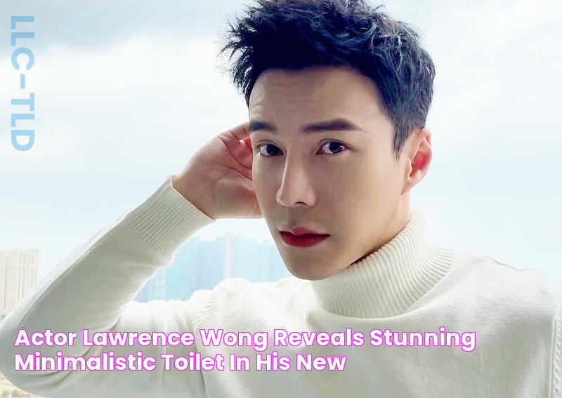 Actor Lawrence Wong reveals stunning minimalistic toilet in his new