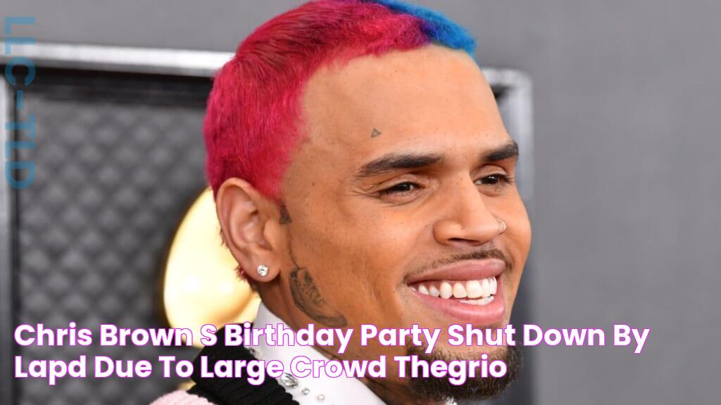 Chris Brown's birthday party shut down by LAPD due to large crowd TheGrio