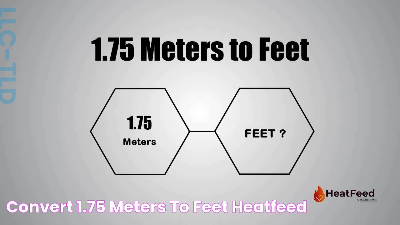 Convert 1.75 meters to feet Heatfeed