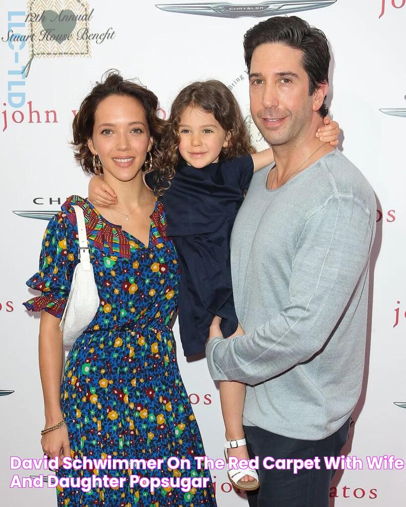 David Schwimmer on the Red Carpet With Wife and Daughter POPSUGAR