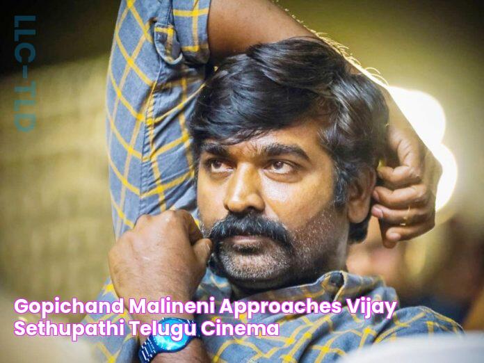 Gopichand Malineni approaches Vijay Sethupathi? Telugu Cinema