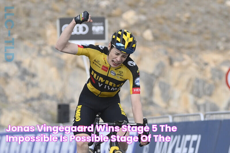 Jonas Vingegaard Wins Stage 5, the Impossible Is Possible Stage, of the