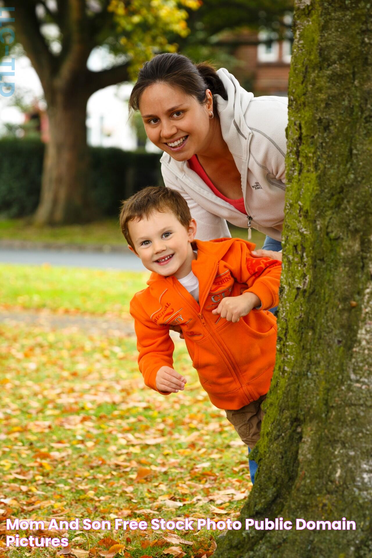 Mom And Son Free Stock Photo Public Domain Pictures