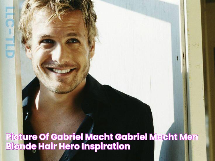 Picture of Gabriel Macht Gabriel macht, Men blonde hair, Hero inspiration