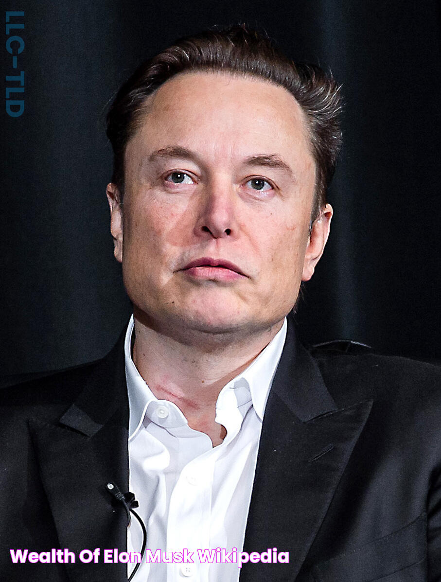 Wealth of Elon Musk Wikipedia