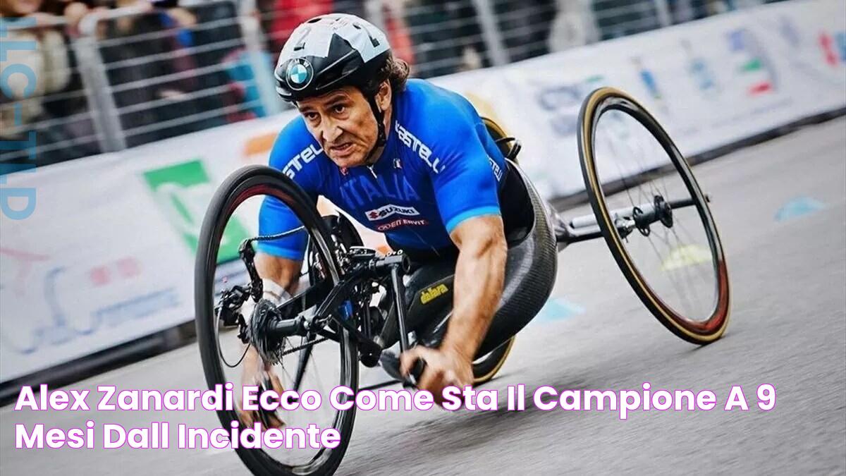 Alex Zanardi, ecco come sta il campione a 9 mesi dall'incidente