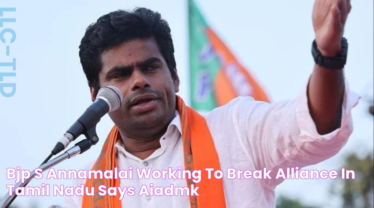 BJP's Annamalai working to break alliance in Tamil Nadu, says AIADMK