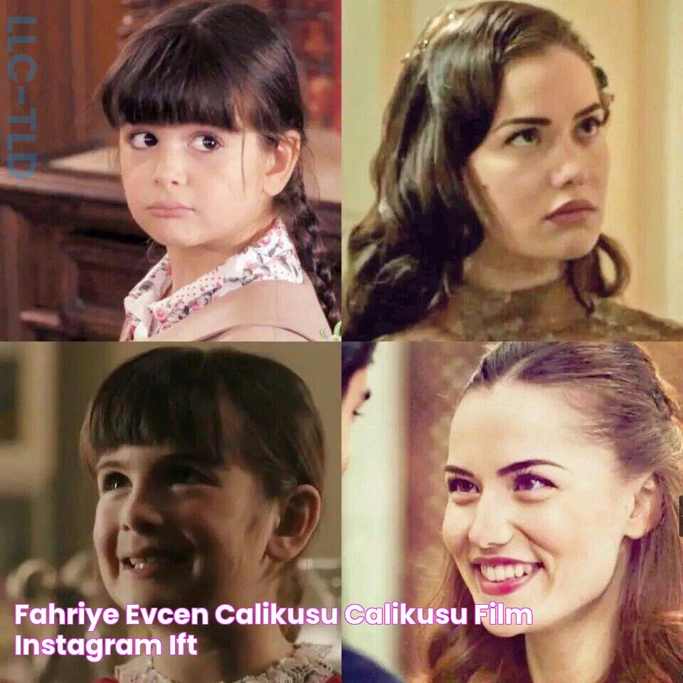 Fahriye Evcen Calikusu calikusu Film, Instagram, Çift