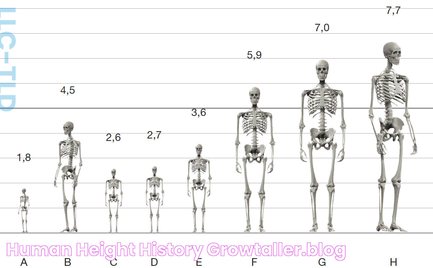 Human Height History GrowTaller.blog