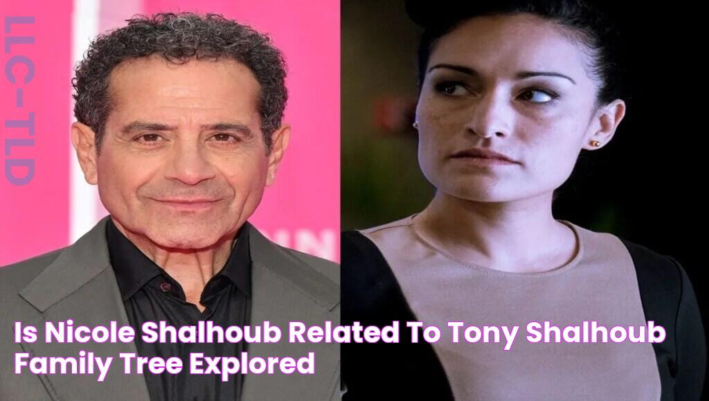 Is Nicole Shalhoub Related To Tony Shalhoub? Family Tree Explored