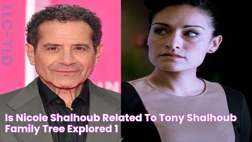 Is Nicole Shalhoub Related To Tony Shalhoub? Family Tree Explored