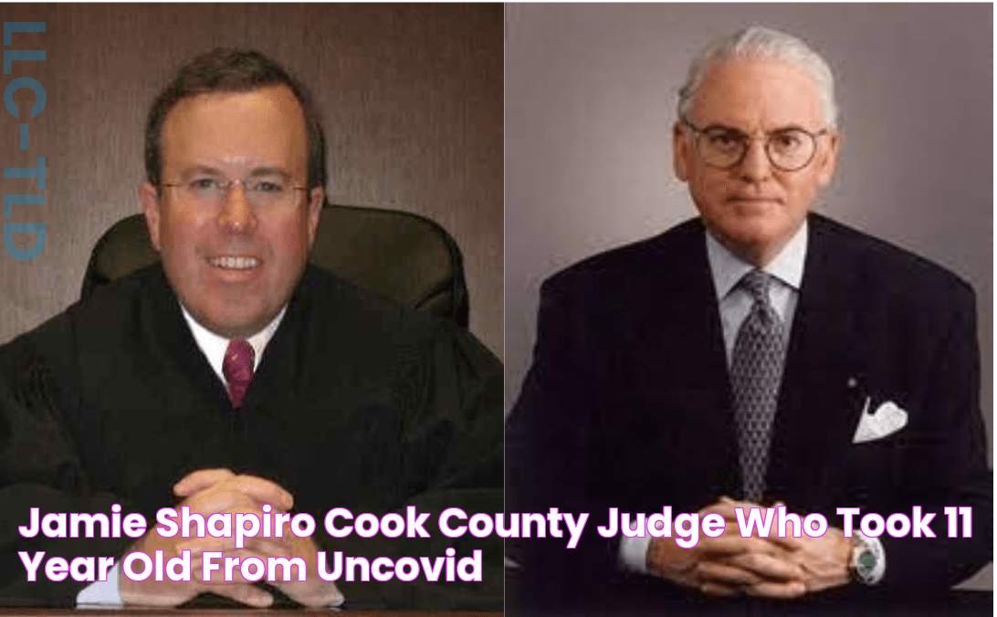 Jamie Shapiro, Cook County judge who took 11 year old from uncovid