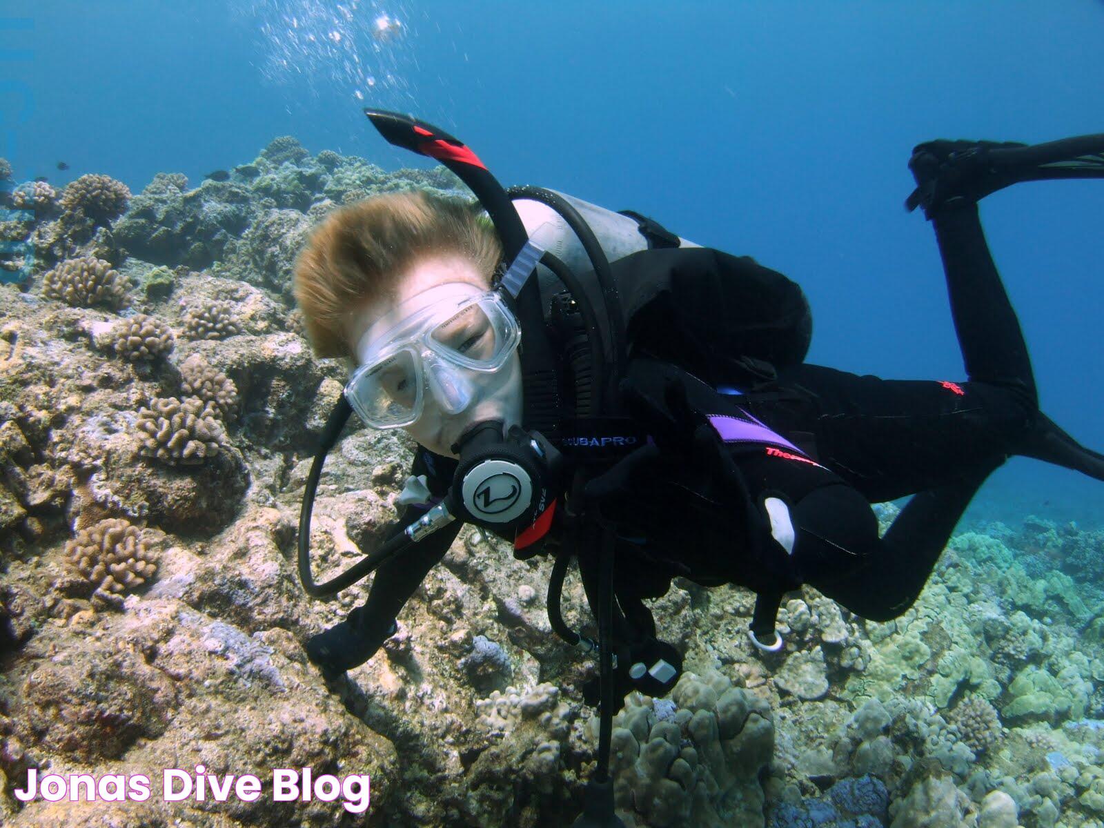 Jonas Dive Blog