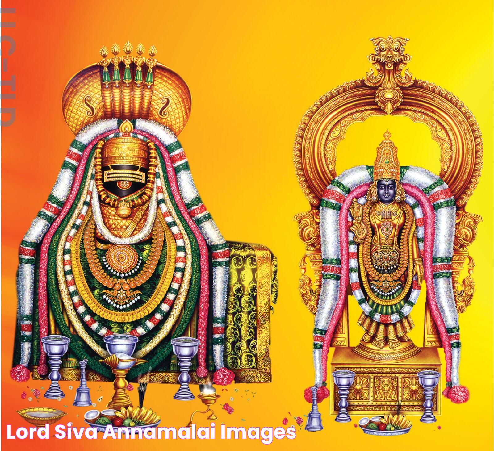 LORD SIVA Annamalai Images