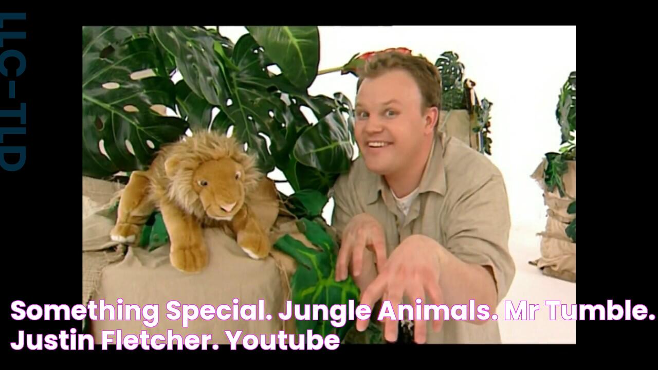 Something Special. Jungle animals. Mr Tumble. Justin Fletcher. YouTube