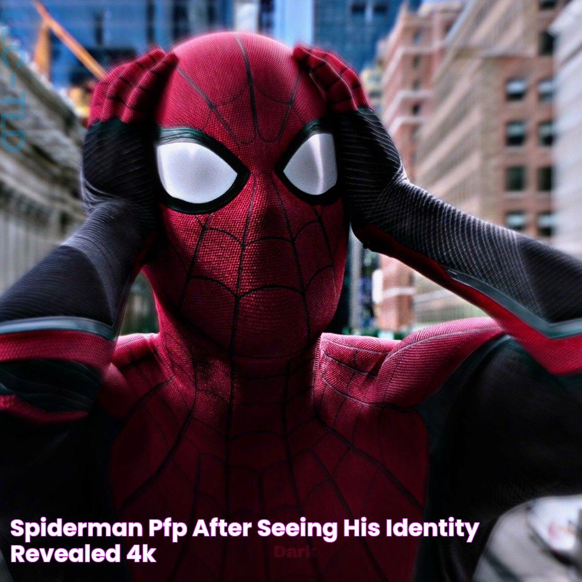 Spiderman pfp after seeing his identity revealed (4k)