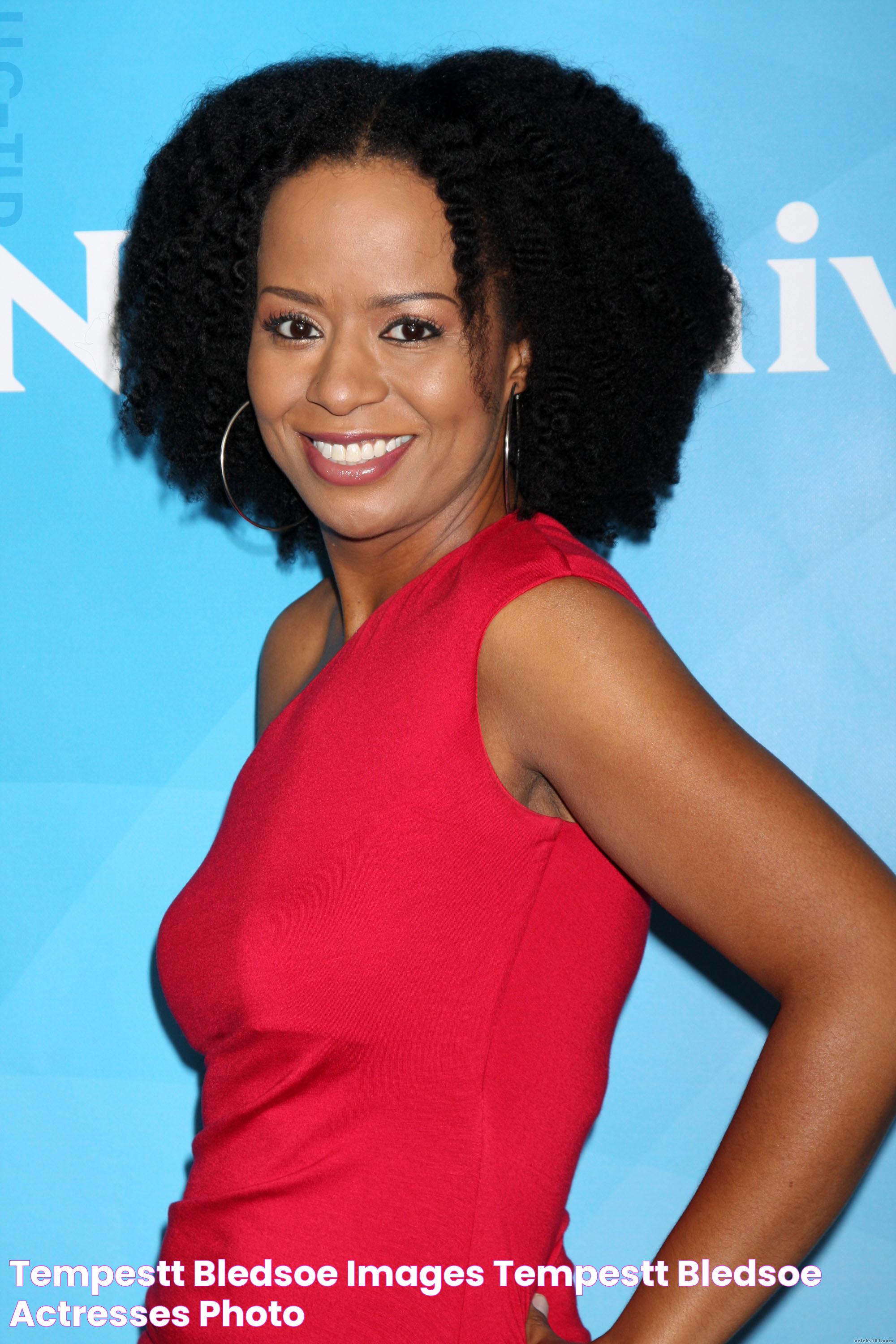 Tempestt Bledsoe Images Tempestt Bledsoe Actresses Photo