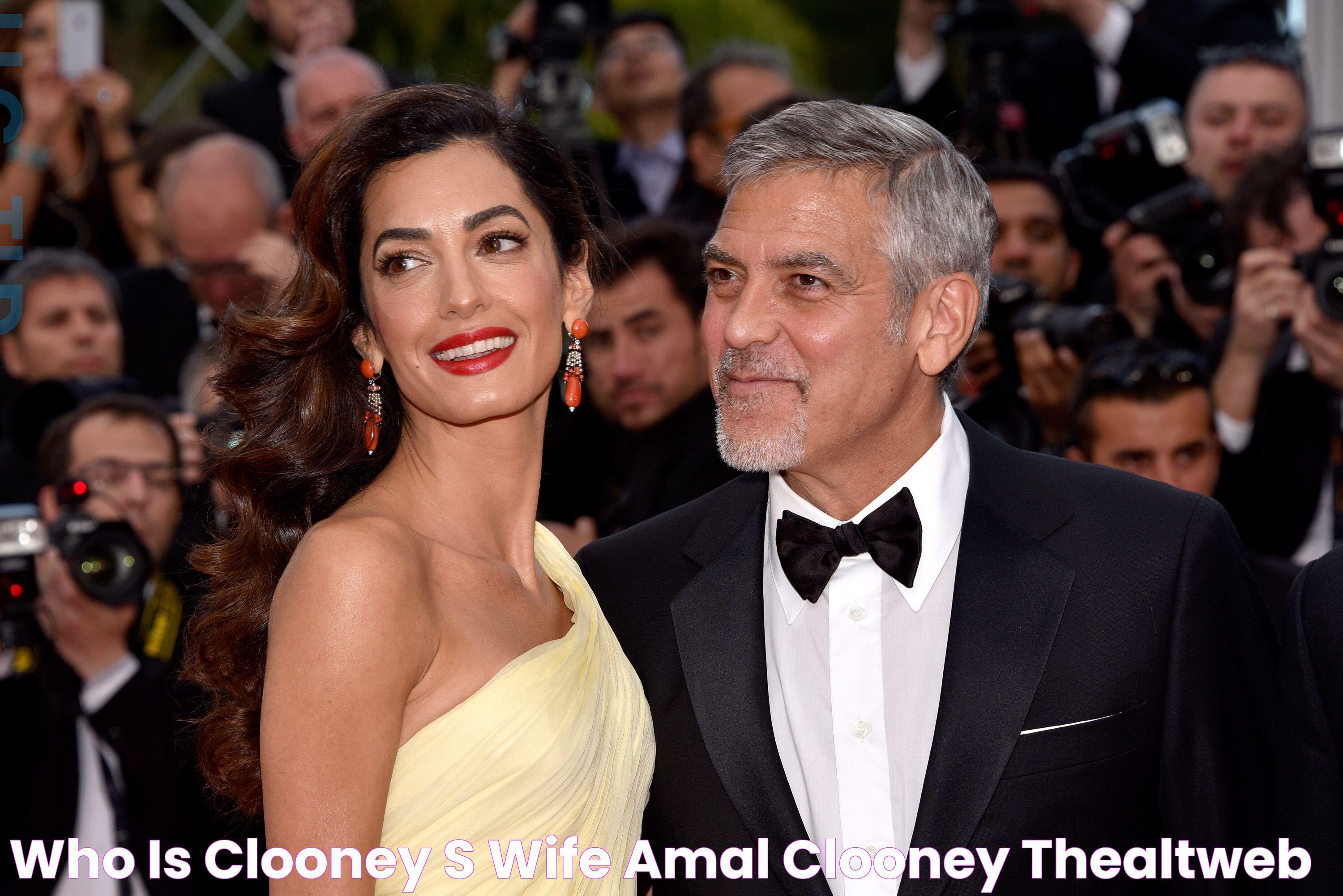 Who Is Clooney’s Wife, Amal Clooney? TheAltWeb